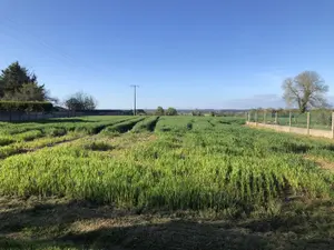 Terrain a batir a vendre Peillac 56220 Morbihan 56 1500 m2 47700 euros 12d 001