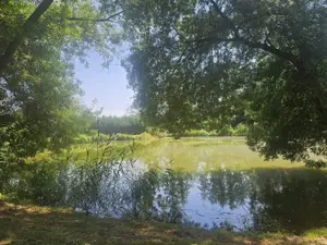 Terrains de loisirs bois etangs a vendre Vaas 72500 Sarthe 72 18000 euros 107472 001
