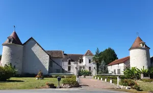 Propriete a vendre Martizay 36220 Indre 36 271 m2 10 pièces 699000 euros 018/1029 001