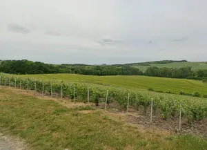 Terrains de loisirs bois etangs a vendre Passy-Grigny 51700 Marne 51 979347 euros 51022-2299 001