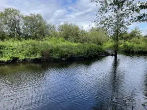 Terrain a batir a vendre Saint-Joachim 44720 Loire-Atlantique 44 115500 euros 44088-2003 001