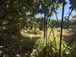 Terrain a batir a vendre Île-aux-Moines 56780 Morbihan 56 320000 euros 56089-137 001