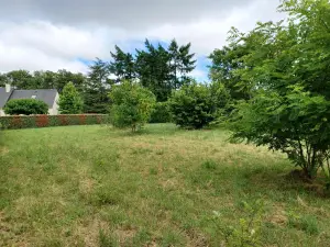 Terrain a batir a vendre Chinon 37500 Indre-et-Loire 37 64000 euros 37094-15 001
