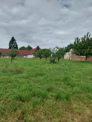 Terrain a batir a vendre Sombrin 62810 Pas-de-Calais 62 58000 euros 62113-1209 001