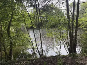 Terrains de loisirs bois etangs a vendre Saint-Martin-du-Bois 49500 Maine-et-Loire 49 48600 euros 49098-1425 001