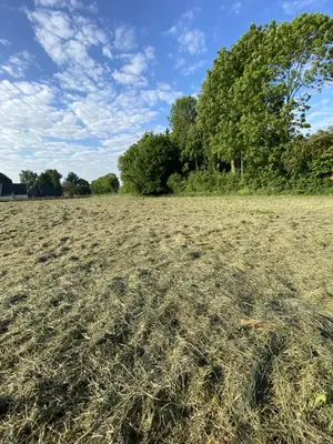 Terrain a batir a vendre Penin 62127 Pas-de-Calais 62 73960 euros 62114-794 001