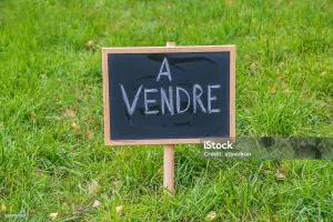 Terrain a batir a vendre Quistinic 56310 Morbihan 56 66708 euros 56064-1493 001