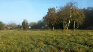 Terrain a batir a vendre Luçay-le-Mâle 36360 Indre 36 27250 euros 021/1096 001