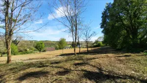 Terrain a batir a vendre Vicq-sur-Nahon 36600 Indre 36 17000 euros 021/1193 001