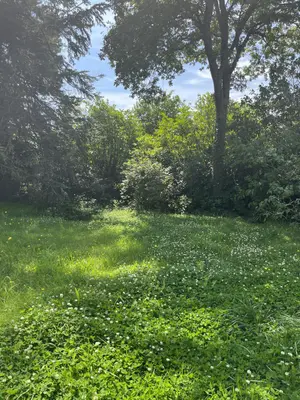 Terrain a batir a vendre Pleuven 29170 Finistère 29 76000 euros 29014-2833 001