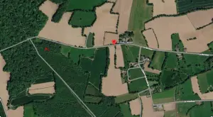Terrains de loisirs bois etangs a vendre Montauban-de-Bretagne 35360 Ille-et-Vilaine 35 8576 euros 35056-1699 001