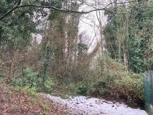 Terrains de loisirs bois etangs a vendre Grand-Couronne 76530 Seine-Maritime 76 12500 euros 76026-1374 001