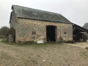 Maison a vendre Changé 53810 Mayenne 53 115 m2 136240 euros 53005-2102 001
