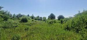 Maison a vendre Fromelles 59249 Nord 59 100 m2 194550 euros 59032-3741 001