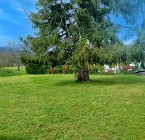 Terrain a batir a vendre Thoiry 01710 Ain 01 300000 euros 01043-150 001