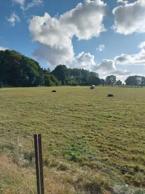 Terrain a batir a vendre Bienvillers-au-Bois 62111 Pas-de-Calais 62 38000 euros 62113-1213 001