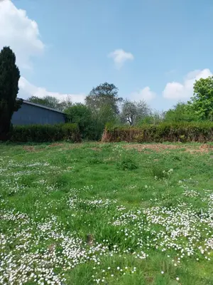 Terrain a batir a vendre Bajus 62150 Pas-de-Calais 62 43000 euros 62113-1229 001