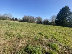 Terrain a batir a vendre Languidic 56440 Morbihan 56 129904 euros 2784-56030 001