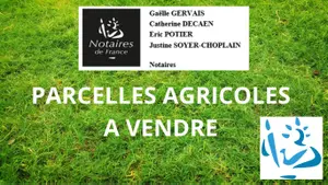 Bien agricole a vendre Soligny-la-Trappe 61380 Orne 61 344747 euros MAP0516-61091 001