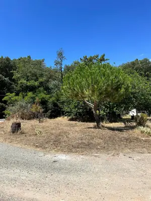 Terrain a batir a vendre La Barre-de-Monts 85550 Vendée 85 150290 euros 092/M/2572-85092 001