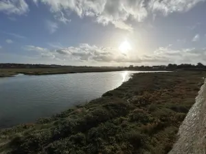 Terrain a batir a vendre Langueux 22360 Côtes-d'Armor 22 107060 euros 22007-715 001