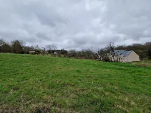 Terrain a batir a vendre Blaison-Saint-Sulpice 49320 Maine-et-Loire 49 65936 euros 49112-940 001