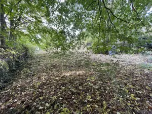 Terrain a batir a vendre Camps-en-Amiénois 80540 Somme 80 30000 euros 80004-1148 001