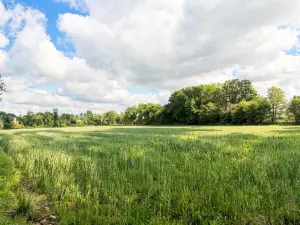 Terrain a batir a vendre Pleyber-Christ 29410 Finistère 29 105400 euros 29107-2443 001