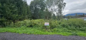 Terrain a batir a vendre Raon-l'Étape 88110 Vosges 88 63000 euros 88061-717 001