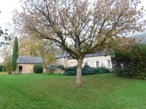 Maison a vendre Brissarthe 49330 Maine-et-Loire 49 152 m2 5 pièces 363750 euros 49096-1391 001