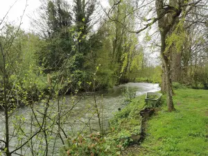 Maison a vendre Dennebrœucq 62560 Pas-de-Calais 62 215 m2 7 pièces 261250 euros 62130-2197 001