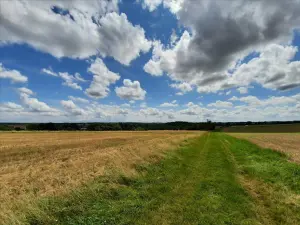 Bien agricole a vendre Bourges 18000 Cher 18 8240000 euros 021/1466 001
