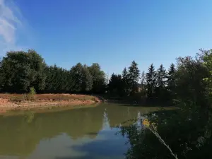 Terrains de loisirs bois etangs a vendre Barrou 37350 Indre-et-Loire 37 17850 euros 37082-314 001