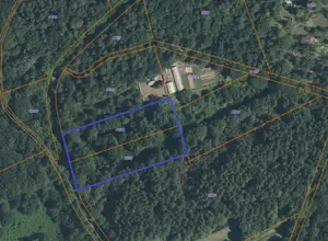 Terrains de loisirs bois etangs a vendre Monteneuf 56380 Morbihan 56 16400 euros 56049-686 001