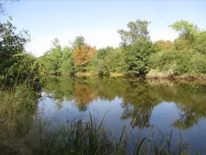 Terrains de loisirs bois etangs a vendre Fleurey-lès-Faverney 70160 Haute-Saône 70 97000 euros CP/E44 001