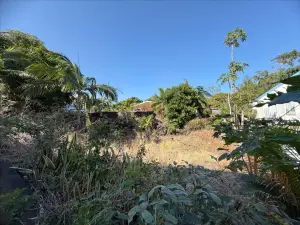 Terrain a batir a vendre Saint-Joseph 97480 La Réunion 974 110775 euros 97410-1087935 001