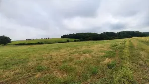 Bien agricole a vendre Luçay-le-Mâle 36360 Indre 36 119900 euros 021/1550 001