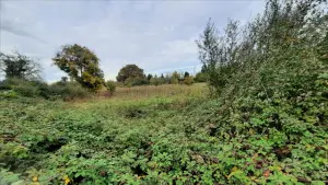 Terrain a batir a vendre Luçay-le-Mâle 36360 Indre 36 14400 euros 021/1561 001