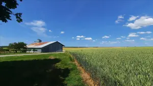 Bien agricole a vendre Montierchaume 36130 Indre 36 3199000 euros 021/1565 001