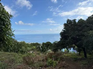 Terrain a batir a vendre Saint-Leu 97436 La Réunion 974 315000 euros 97410-1095700 001