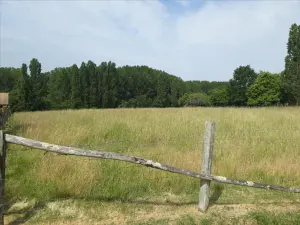 Terrain a batir a vendre Marigné-Laillé 72220 Sarthe 72 23800 euros 72012-1094962 001
