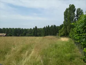 Terrain a batir a vendre Marigné-Laillé 72220 Sarthe 72 33800 euros 72012-1094963 001
