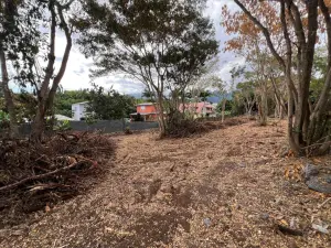 Terrain a batir a vendre Entre-Deux 97414 La Réunion 974 132000 euros 41515 B 001