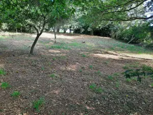 Terrain a batir a vendre Taupont 56800 Morbihan 56 43600 euros 56044-1478 001