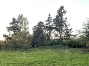 Terrain a batir a vendre Longuenée-en-Anjou 49770 Maine-et-Loire 49 102284 euros 49031-2787 001