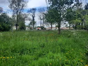 Terrain a batir a vendre Commequiers 85220 Vendée 85 173160 euros 85091-5185 001
