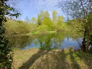 Terrains de loisirs bois etangs a vendre Amiens 80000 Somme 80 135000 euros 80011-5566 001