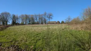 Terrains de loisirs bois etangs a vendre Le Chefresne 50410 Manche 50 19800 euros 50038-2714 001
