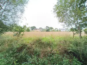 Terrains de loisirs bois etangs a vendre Cléguérec 56480 Morbihan 56 9700 euros 56062-1994 001
