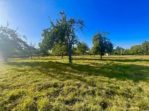 Terrain a batir a vendre Saint-Étienne-la-Thillaye 14950 Calvados 14 365750 euros 14069-402 001